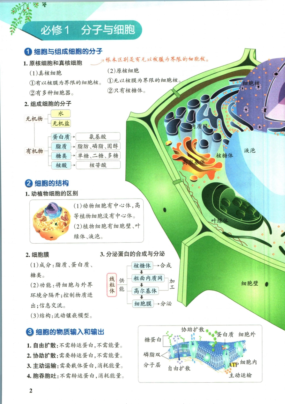 学霸笔记高中生物-1_重点讲解高清文档.pdf_第2页