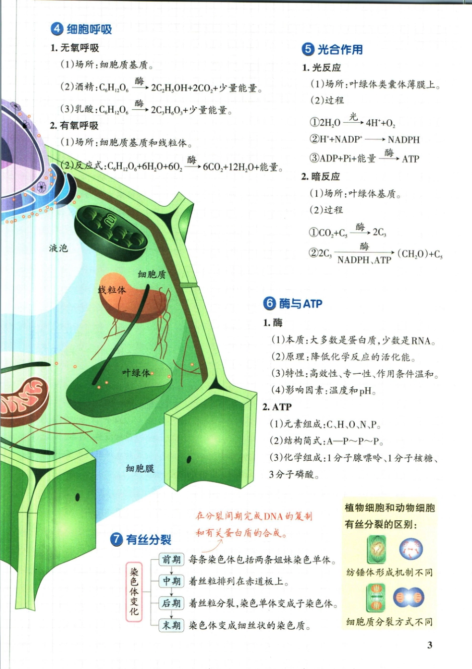 学霸笔记高中生物-1_重点讲解高清文档.pdf_第3页