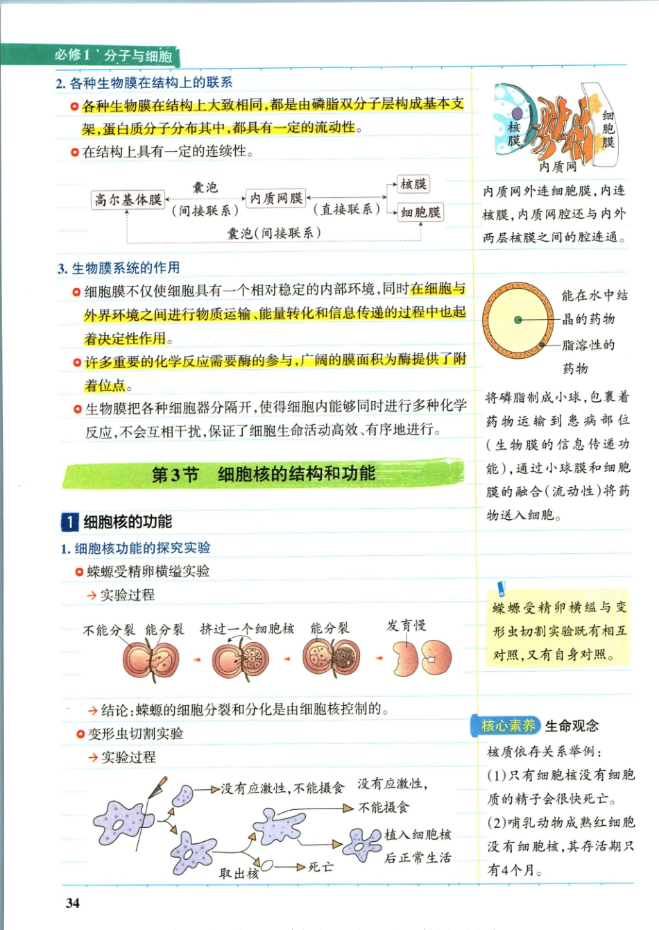 学霸笔记高中生物-2_重点讲解高清文档.pdf_第1页