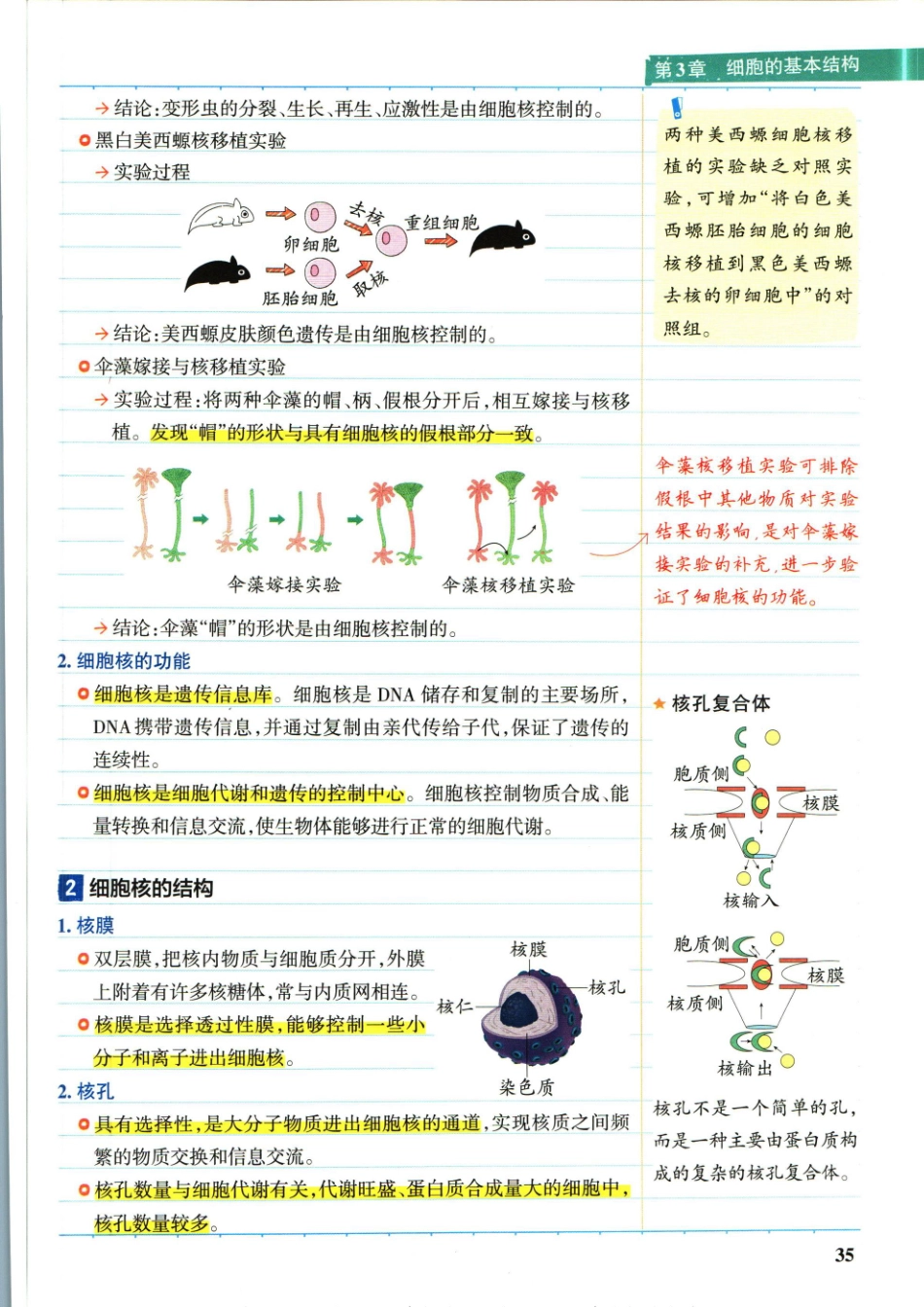 学霸笔记高中生物-2_重点讲解高清文档.pdf_第2页