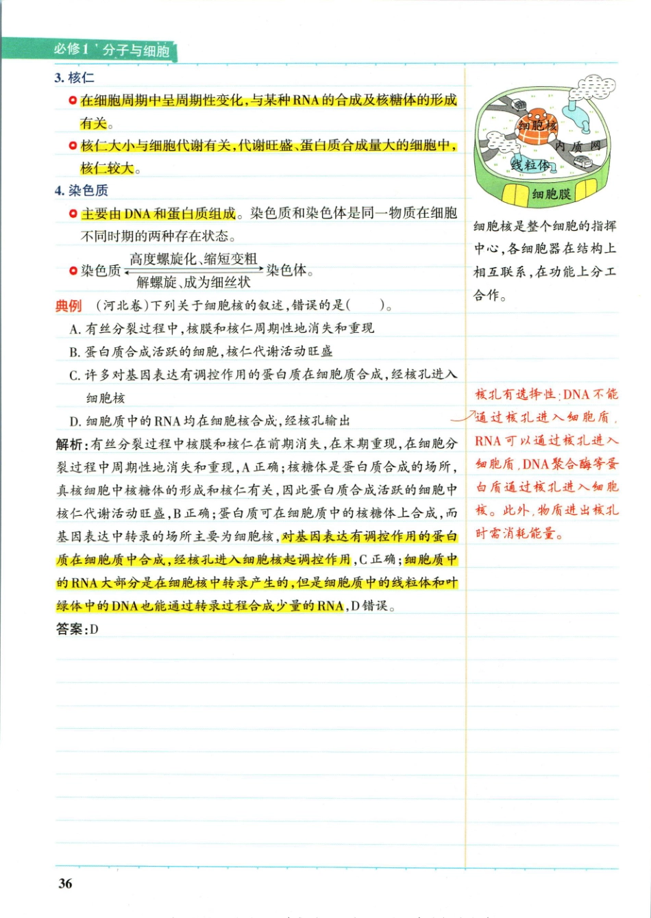 学霸笔记高中生物-2_重点讲解高清文档.pdf_第3页