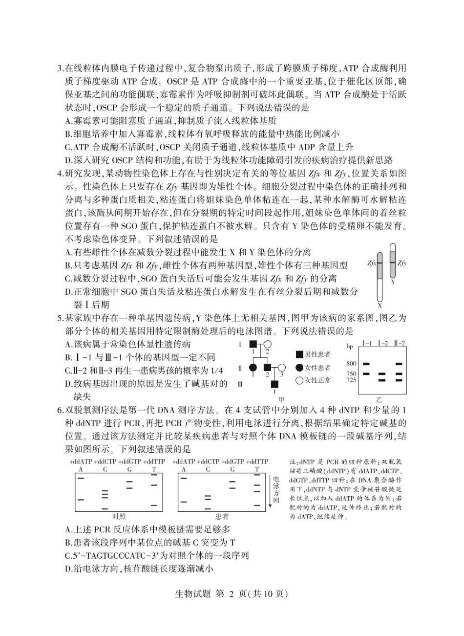 山东省临沂市2025年普通高等学校招生全国统一考试（模拟）（临沂一模）生物学试题（含答案）.pdf_第2页