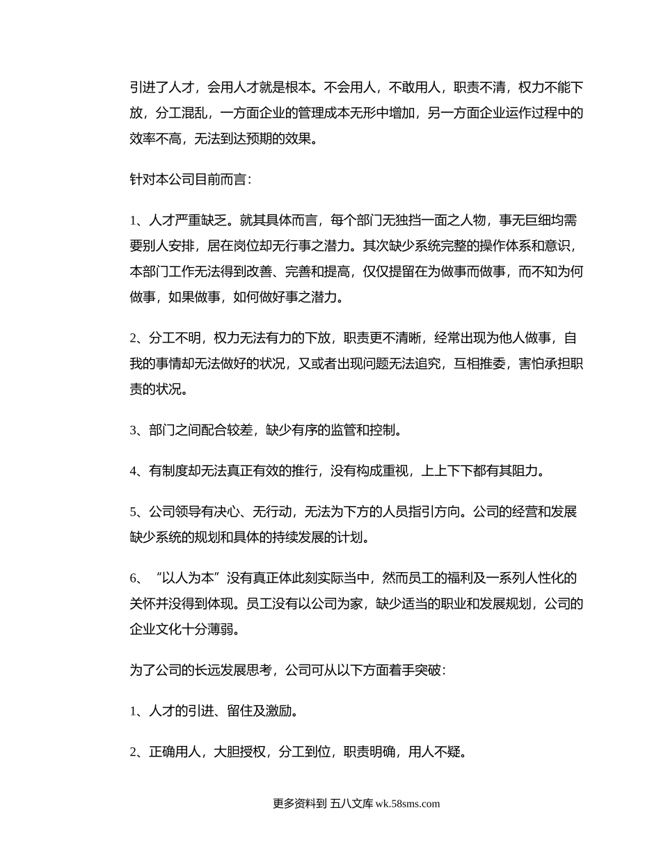 公司发展建议书.docx_第2页