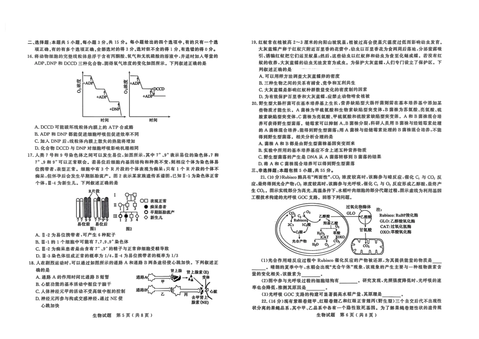 山东省济宁市2025年高考模拟考试（一模）生物试题.pdf_第3页