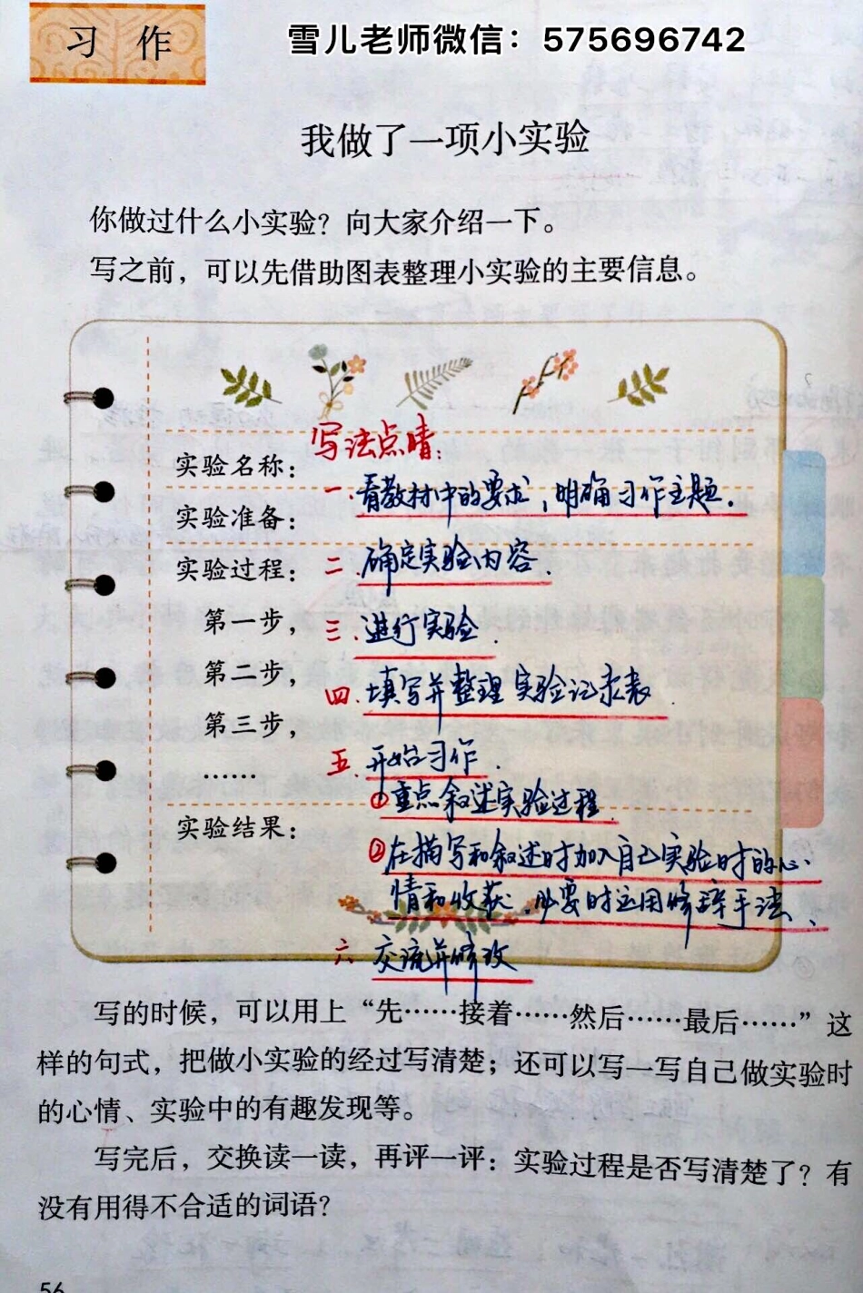 小学三年级下册-部编版语文园地四课预习笔记.pdf_第1页