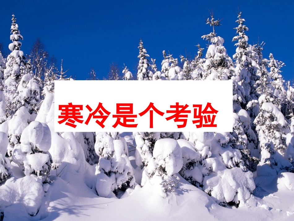 一年上 《14 健康过冬天》课件1.ppt_第3页