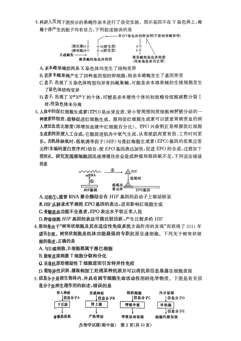 湖南师范大学附属中学2023-2024学年高三上学期月考卷（一）生物.pdf_第2页