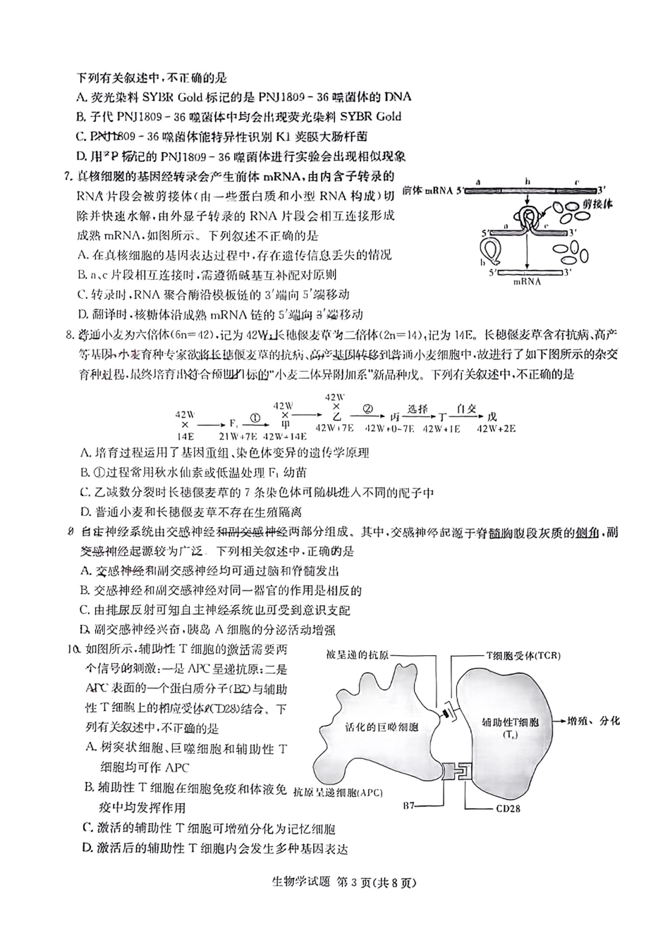 佩佩教育2024年普通高中学业水平选择性考试 湖南3月高三 联考卷 生物.pdf_第3页
