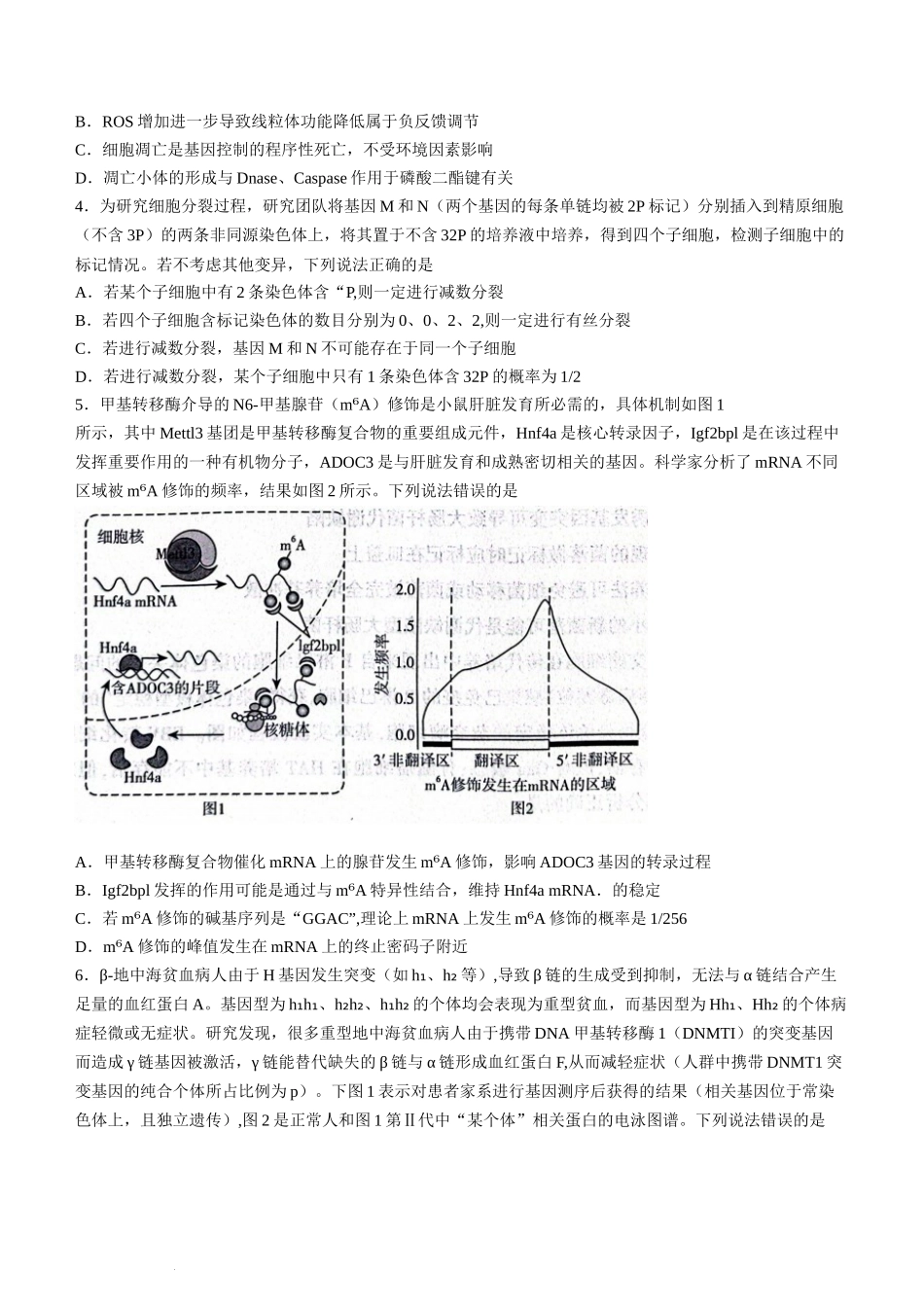 山东省临沂市2024届高三下学期3月一模考试生物试题(无答案).docx_第2页