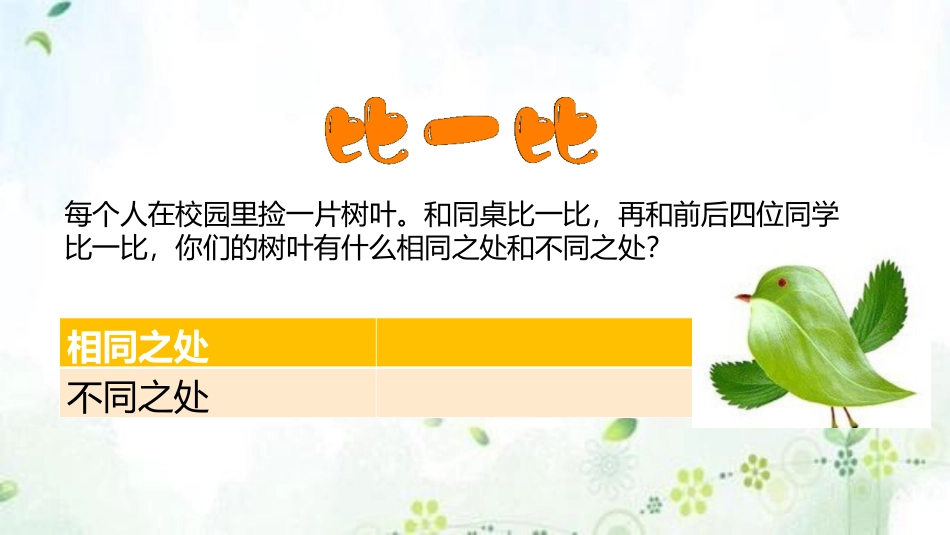 不一样的你我他 第一课时 课件.pptx_第3页