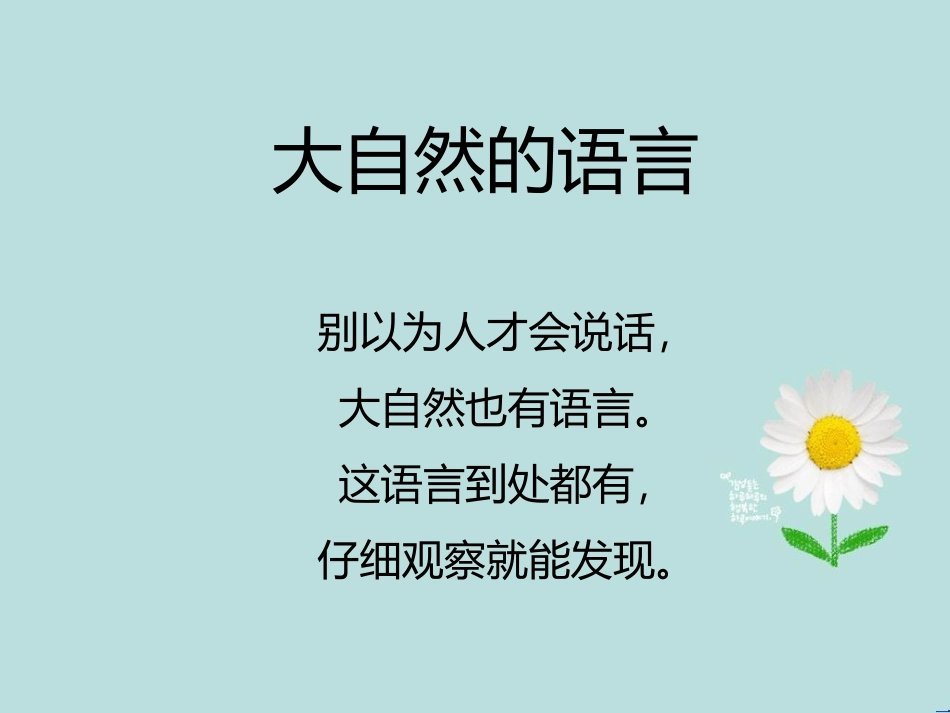 大自然的语言.ppt_第1页