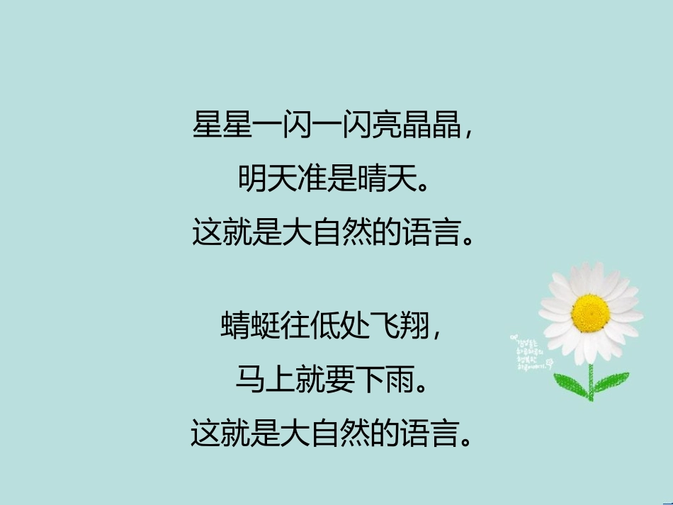 大自然的语言.ppt_第2页