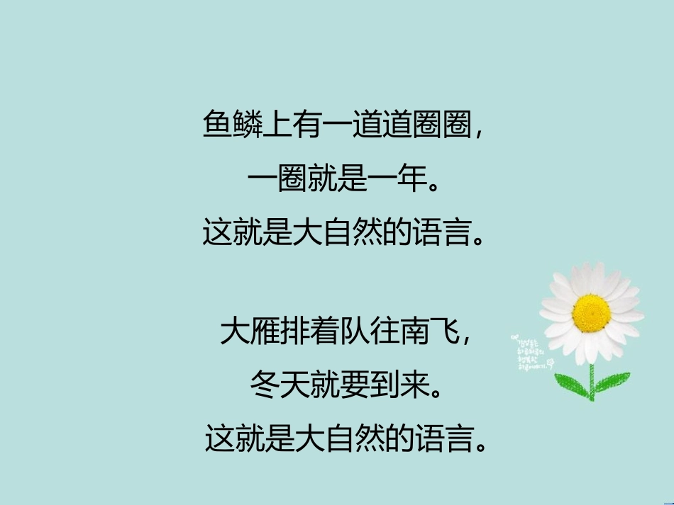 大自然的语言.ppt_第3页