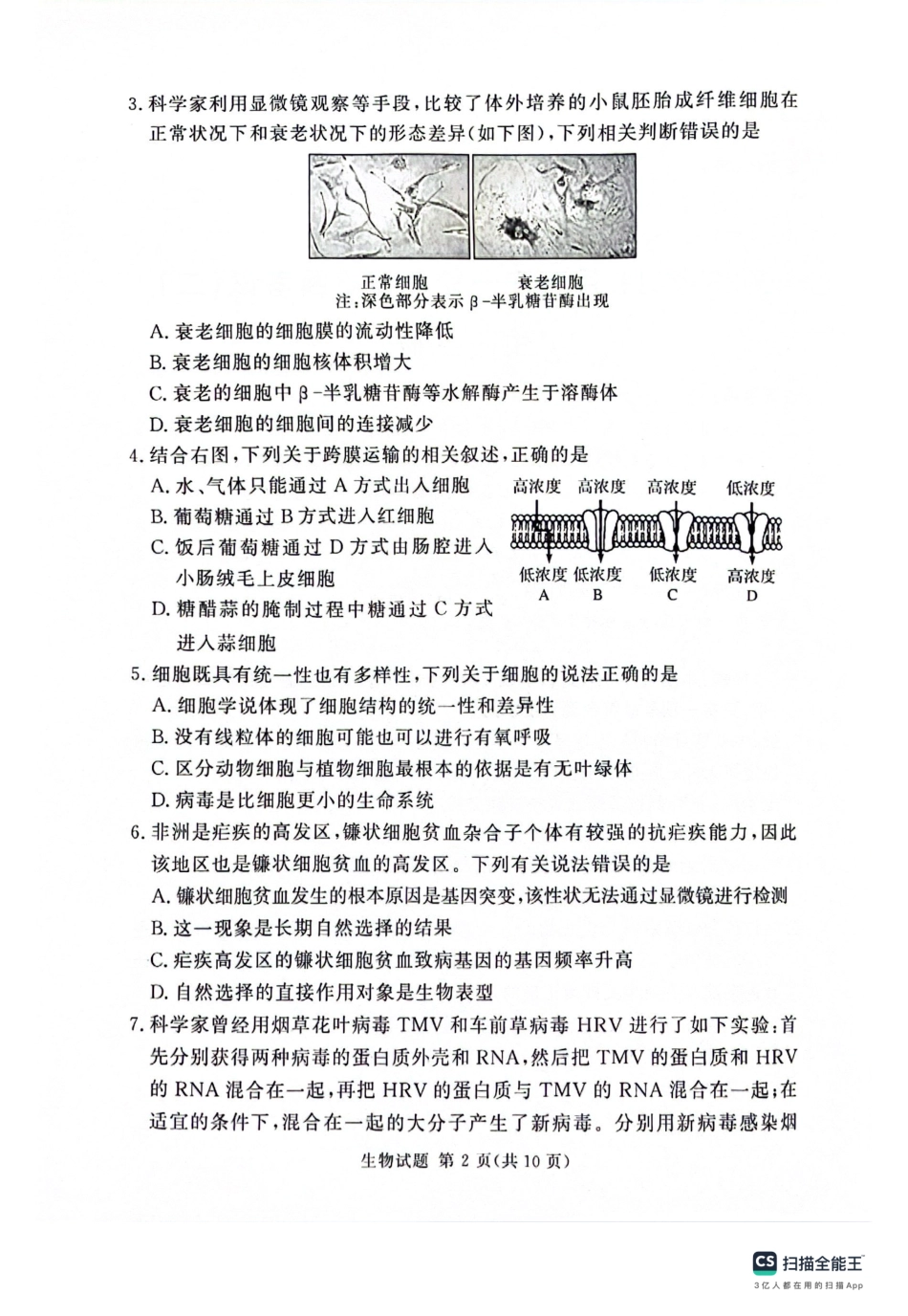 河南省湘豫名校2024届高三上学期11月期中联考生物.pdf_第2页