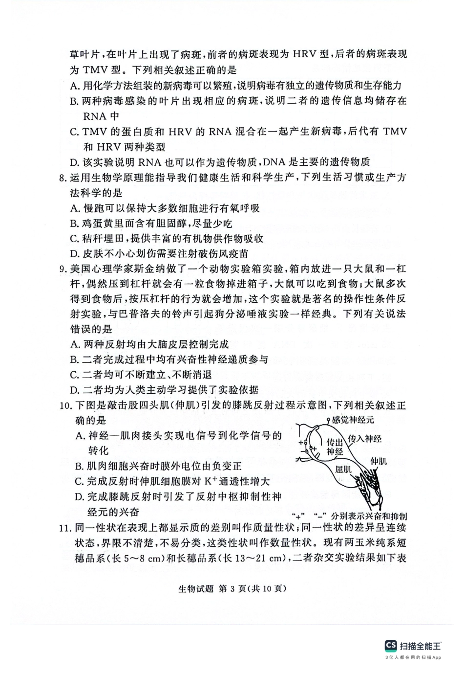 河南省湘豫名校2024届高三上学期11月期中联考生物.pdf_第3页
