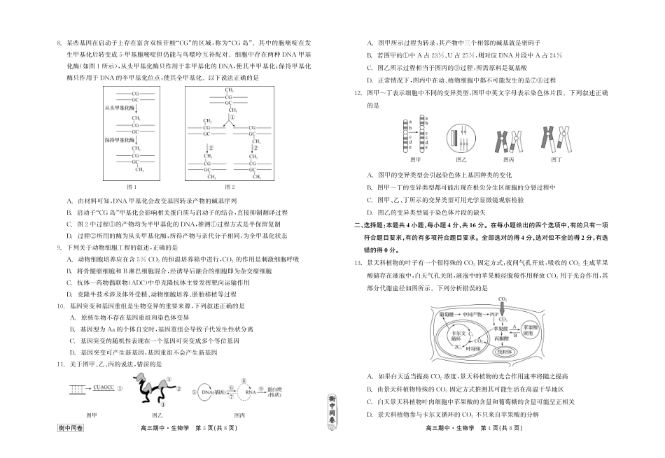 衡中同卷2023-2024学年度上学期高三年级期中考试 生物.pdf_第2页