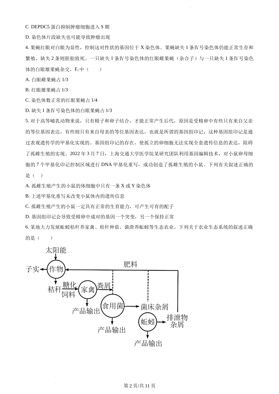 湖南省邵阳市武冈市2024届高三上学期期中考试 生物.docx_第2页