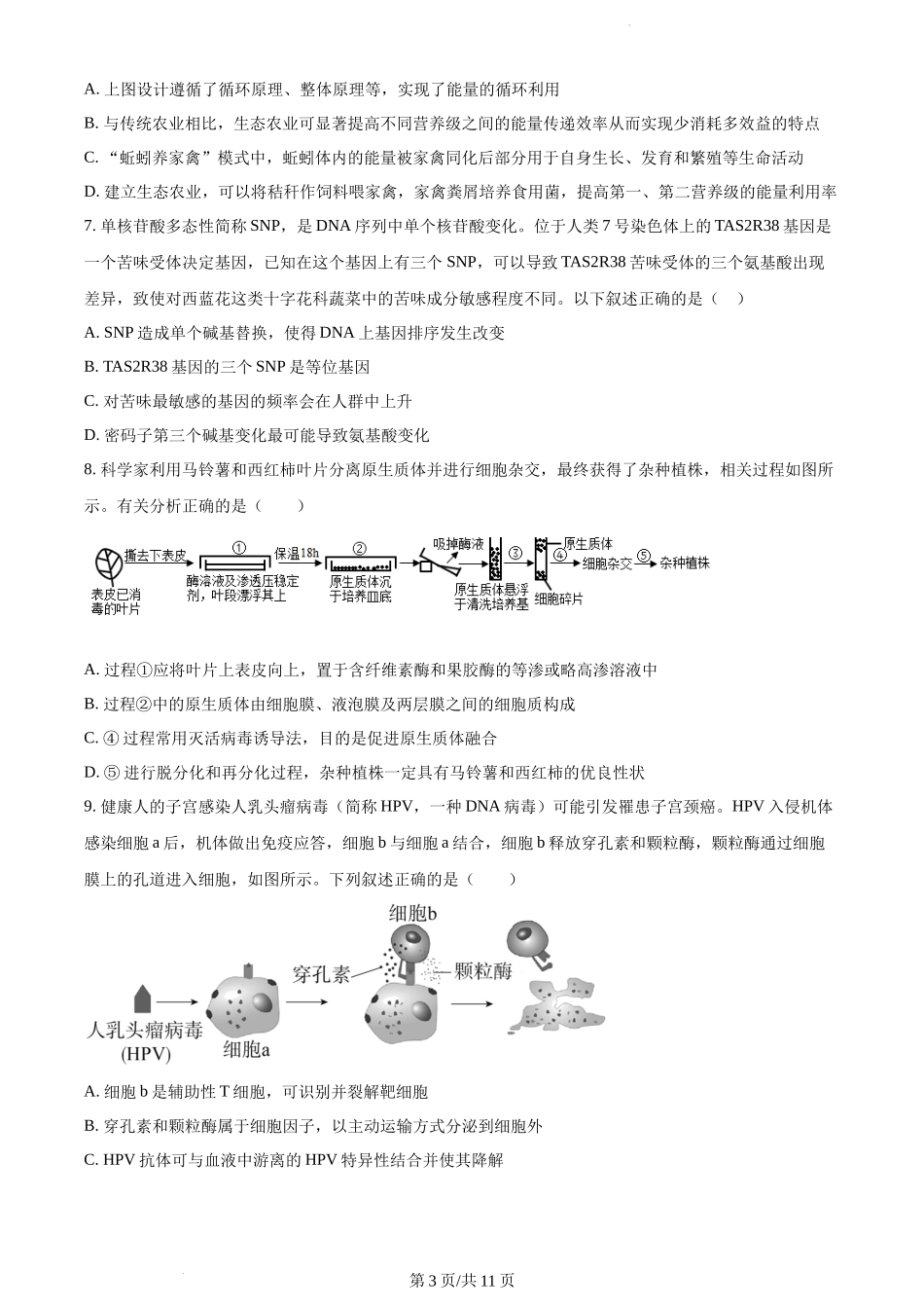 湖南省邵阳市武冈市2024届高三上学期期中考试 生物.docx_第3页