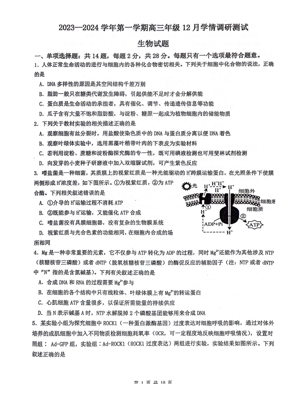 江苏省扬州市高邮市2024届高三上学期12月月考生物.docx_第1页