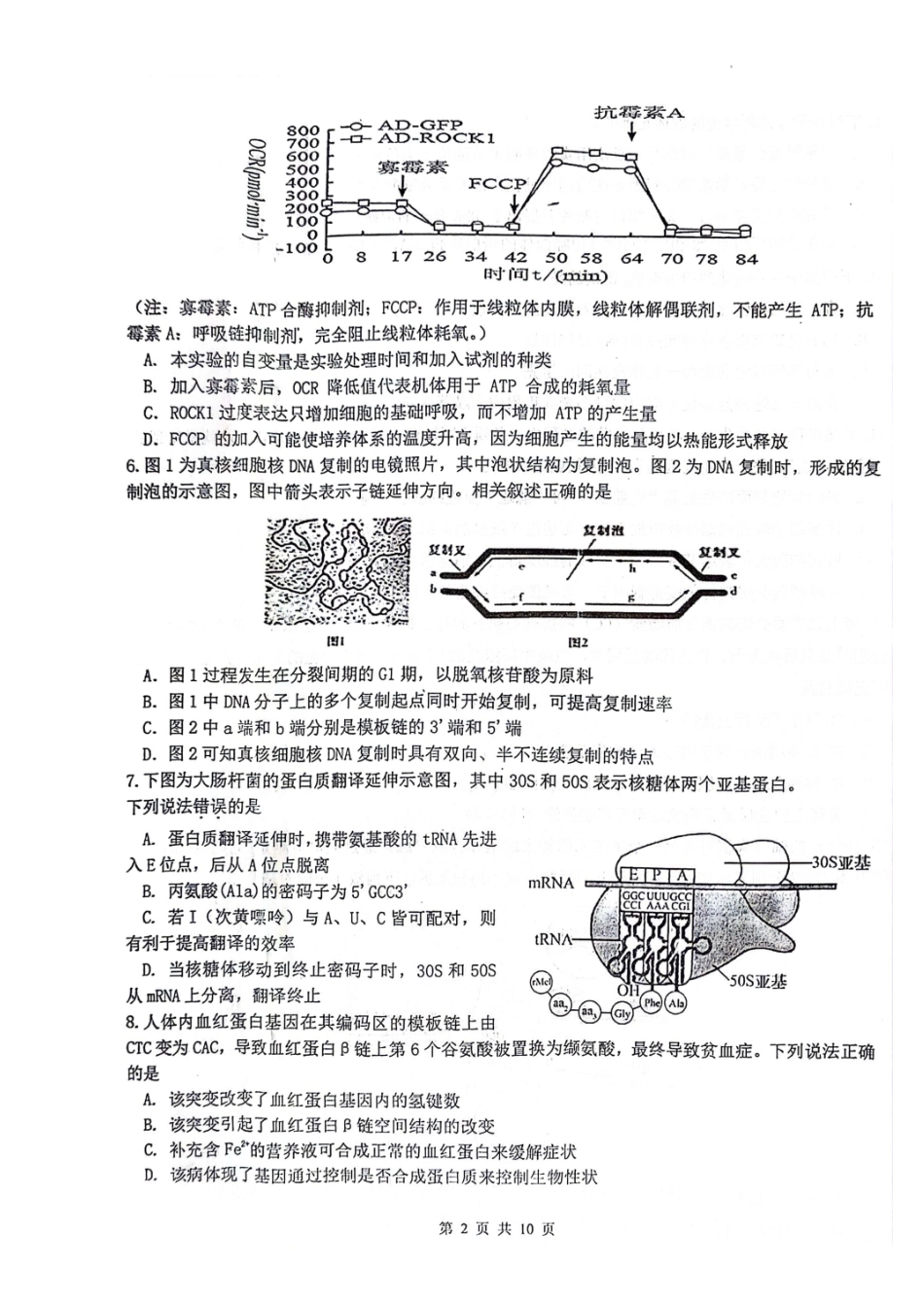 江苏省扬州市高邮市2024届高三上学期12月月考生物.docx_第2页