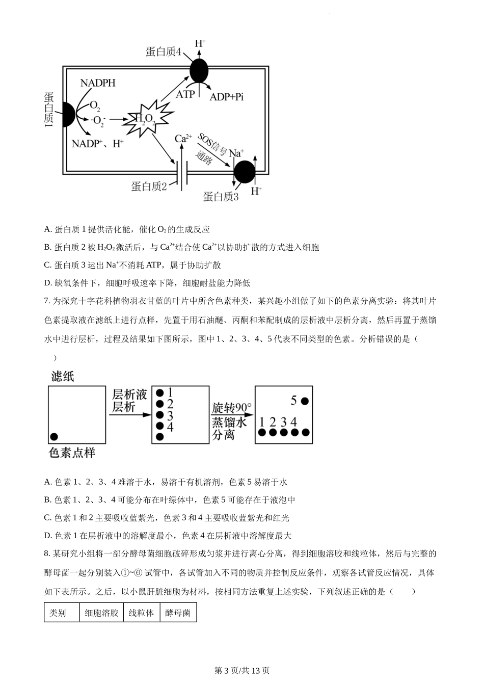 精品解析：江苏省扬州市高邮市2023-2024学年高三上学期开学生物试题（原卷版）.docx_第3页