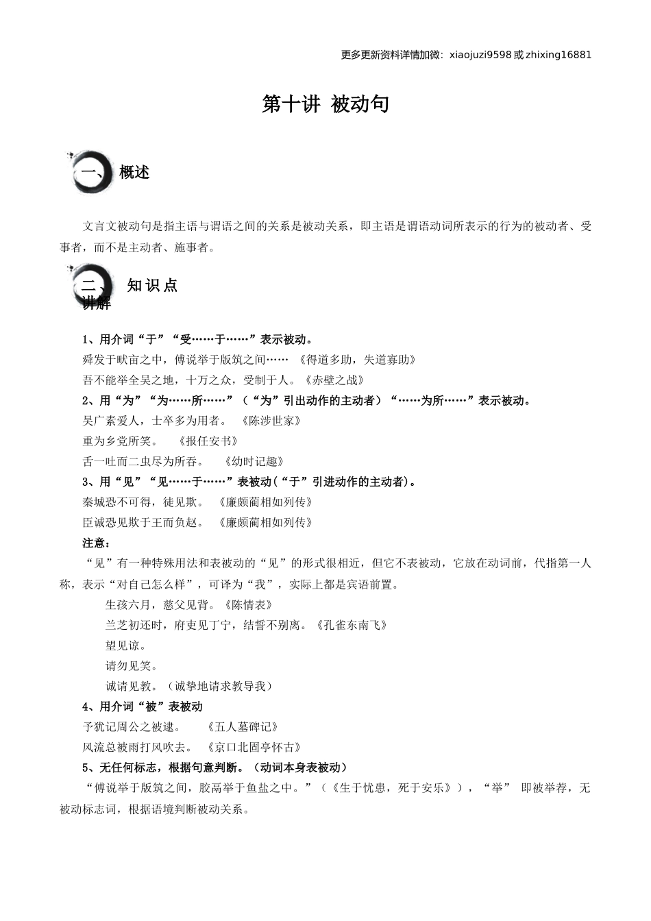 考点10：被动句（解析版）.docx_第1页