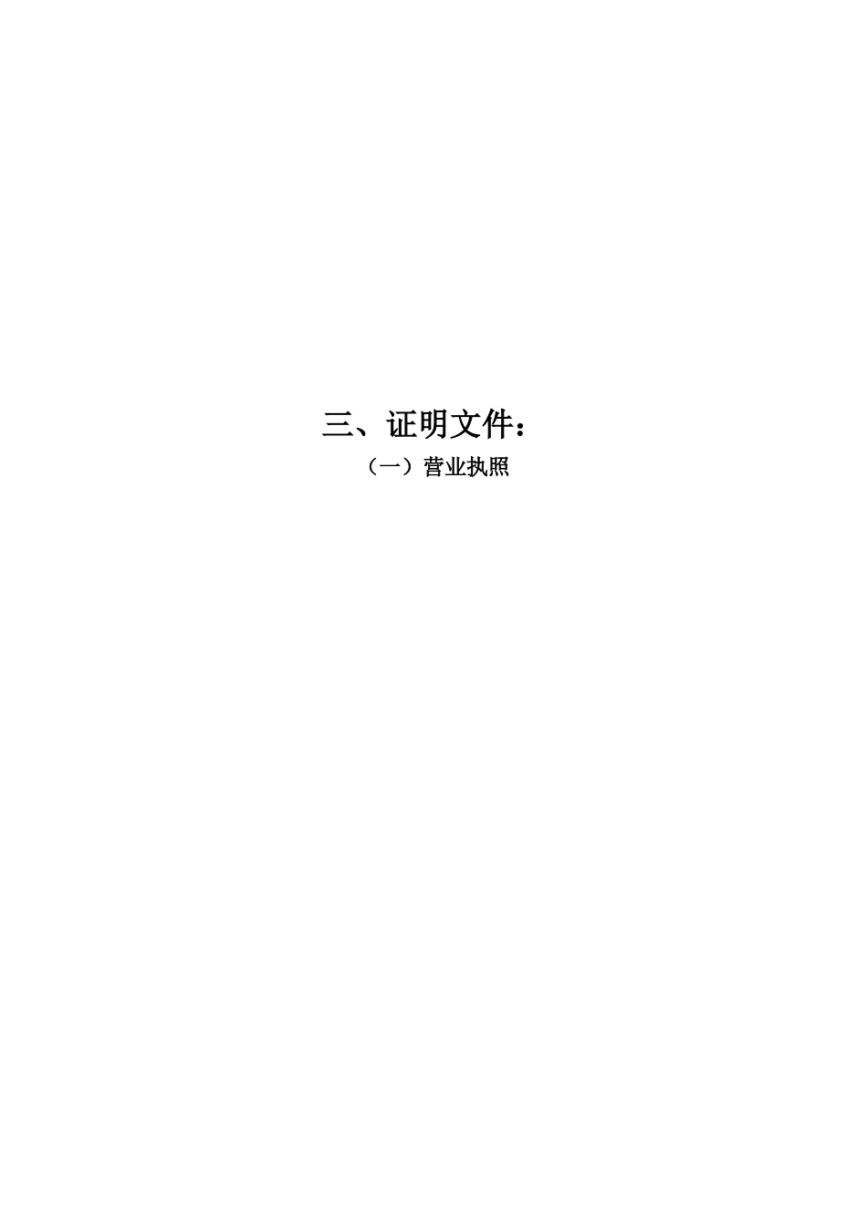 楼顶广告牌楼顶大字投标书(1).doc_第3页