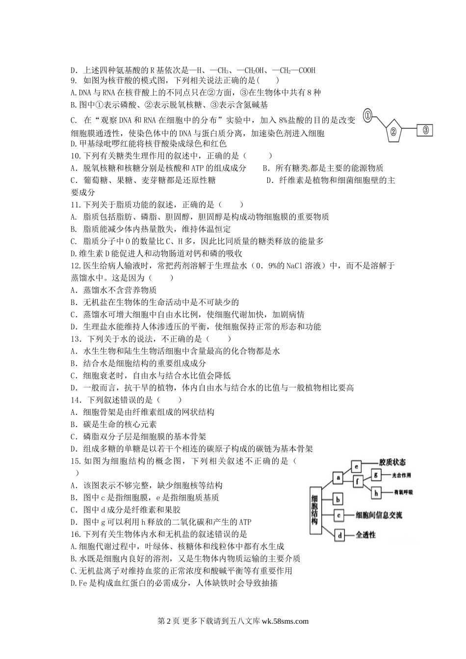 白城一中长春十一高上学期高一生物期末试卷及答案.doc_第2页