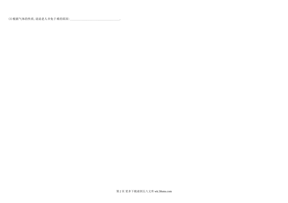 化学九年级人教版总复习8质量守恒定律及其运用.doc_第2页