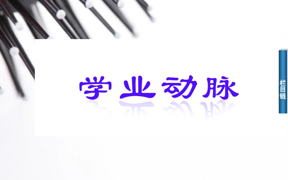 高二物理高中物理学业水平复习题 专题十三　电磁现象与规律.ppt_第2页