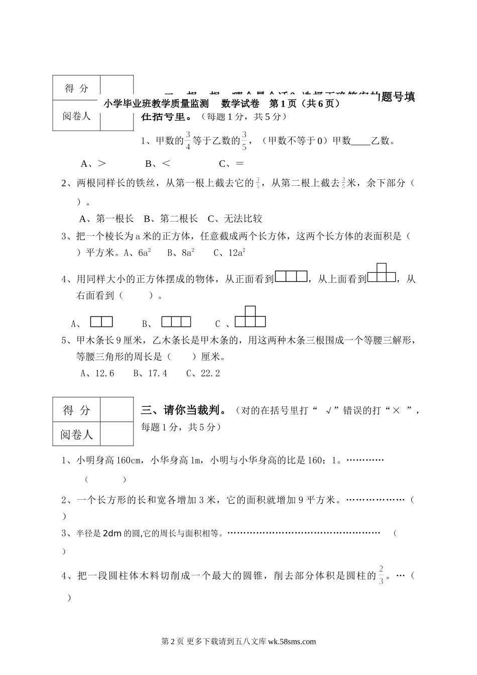 小学毕业班数学毕业水平能力测试卷及答案.doc_第2页
