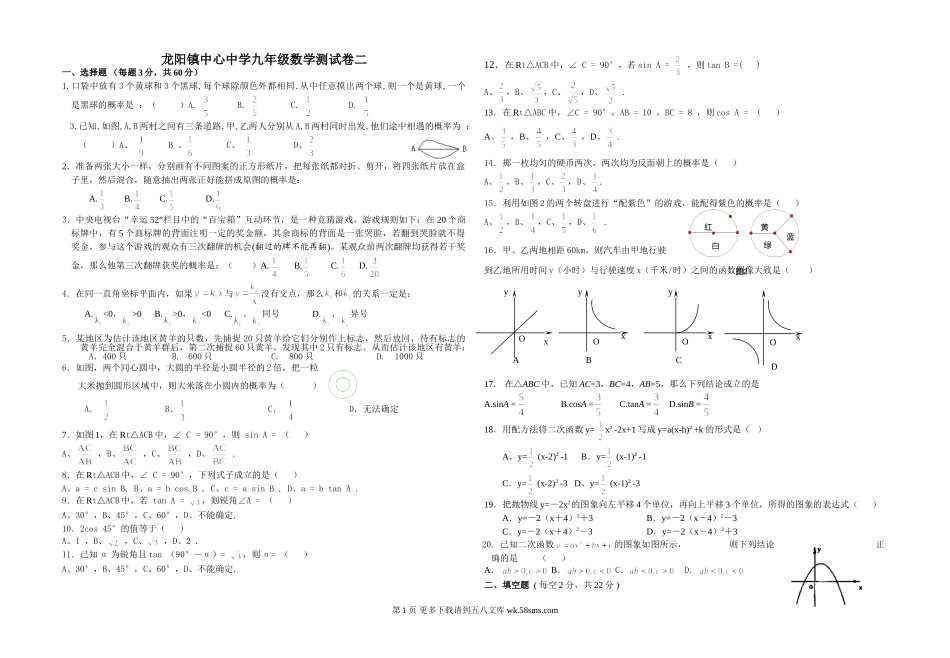 龙阳镇中心中学九年级数学测试卷二.doc_第1页