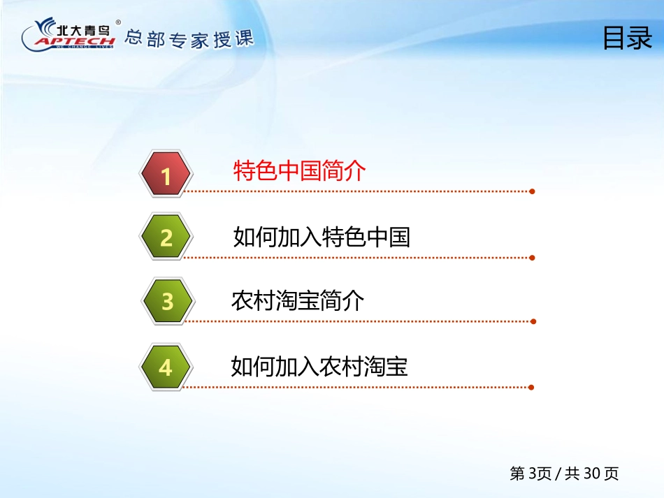 第72章【特色中国和农村淘宝】.ppt_第3页
