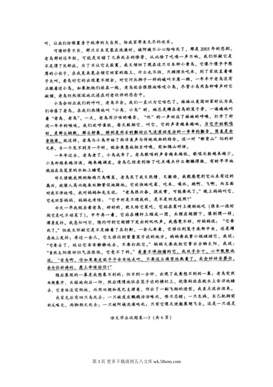 2012年浙江省中考语文模拟试题及答案.doc_第3页
