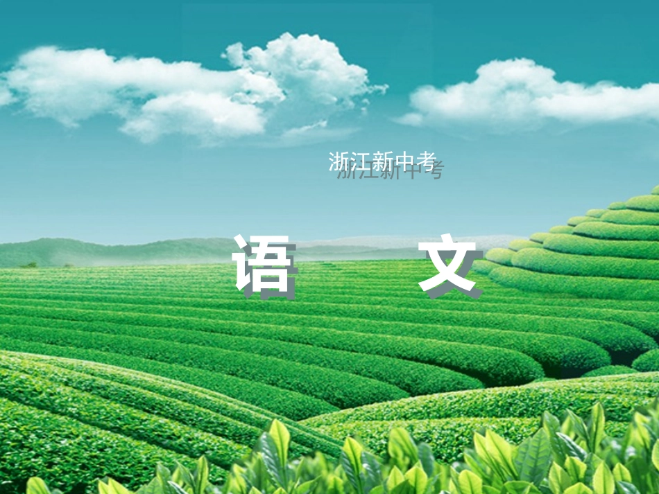 2017年中考语文复习：第一篇 专题一　字音•字形.ppt_第1页