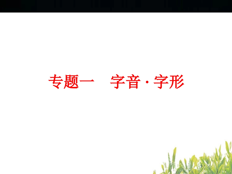 2017年中考语文复习：第一篇 专题一　字音•字形.ppt_第2页