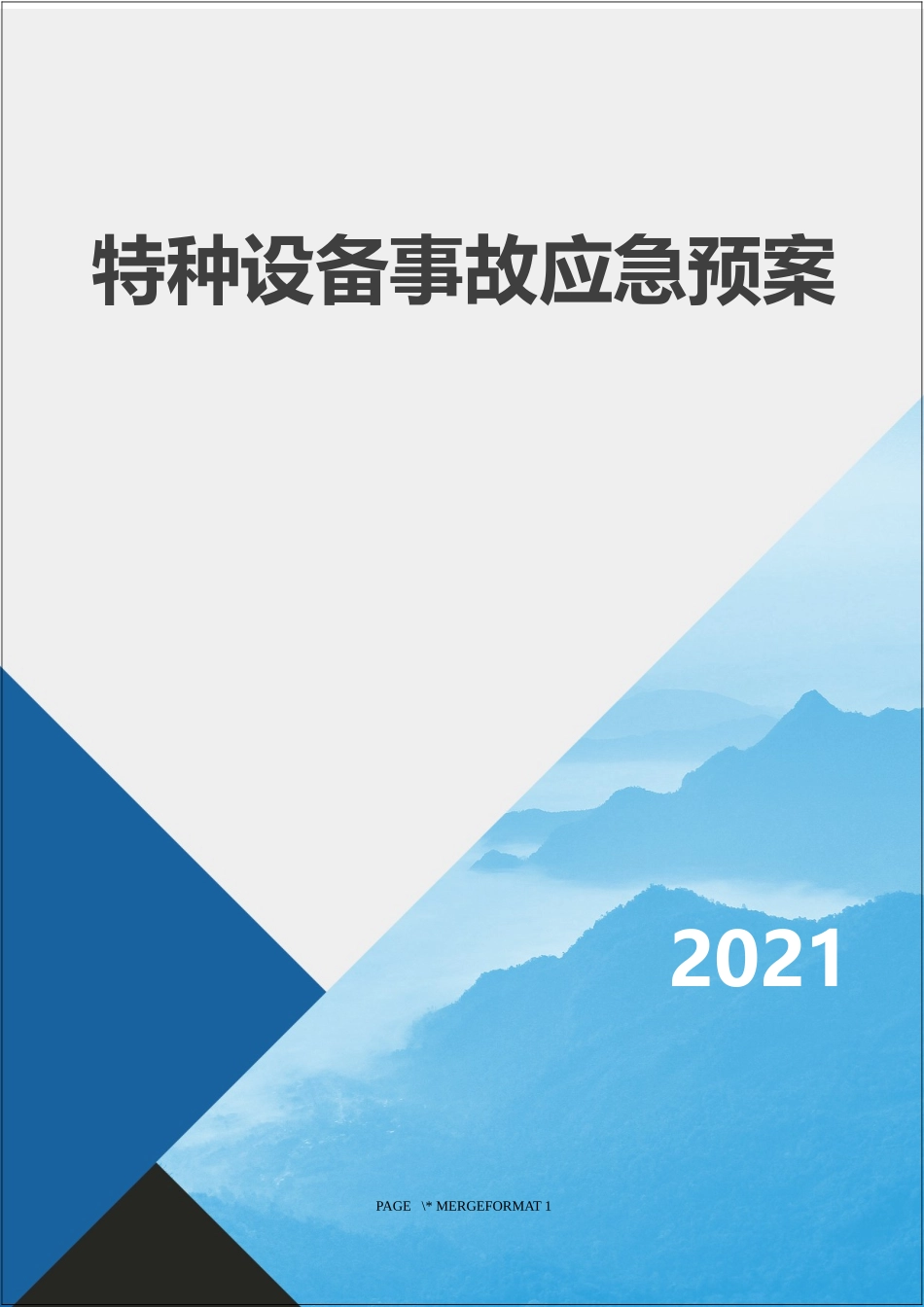 2.特种设备公司应急预案.docx_第1页