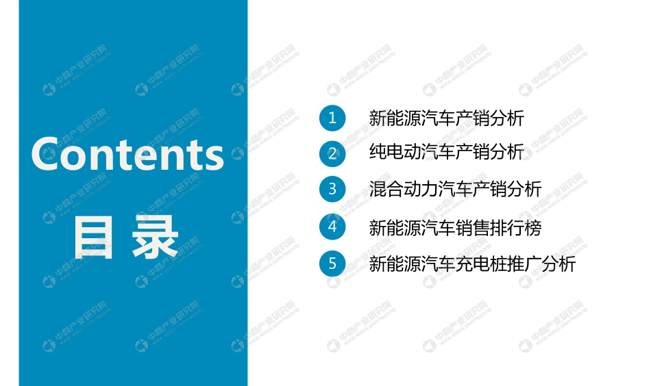 中国新能源汽车行业运行情况月度报告（2019年6月）.pdf_第2页