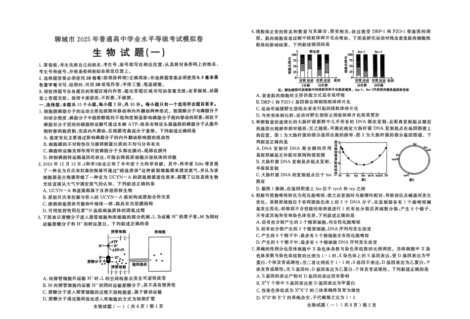 山东省聊城市2025年普通高中学业水平等级考试模拟卷（一）生物试题.pdf_第1页