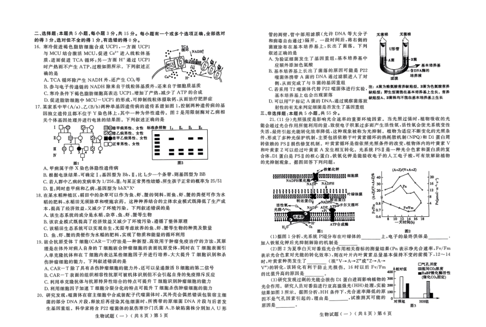 山东省聊城市2025年普通高中学业水平等级考试模拟卷（一）生物试题.pdf_第3页