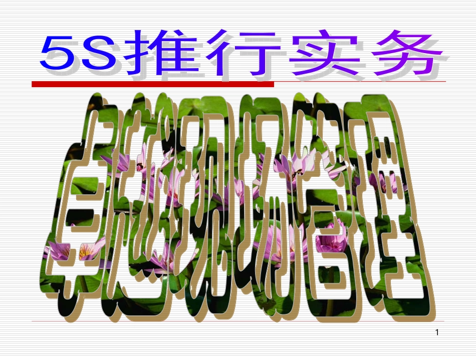 aat_0927_5S推行实务--卓越的现场管理（PPT 95）.ppt_第1页