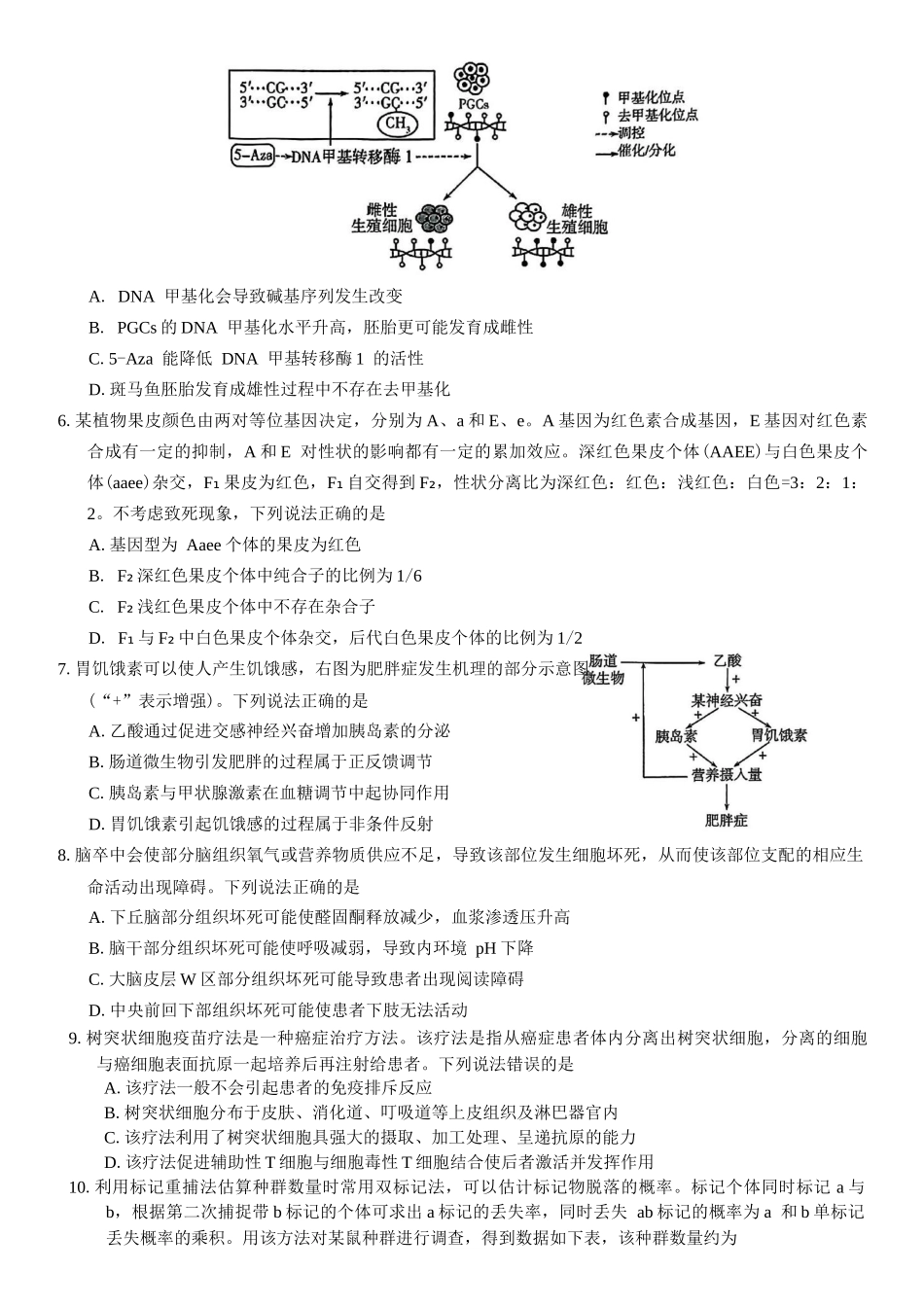 山东省潍坊市2025届高三高考模拟考试生物学试卷（有答案）.docx_第2页