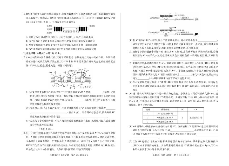 陕西省、山西省天一大联考2024-2025学年高中毕业班阶段性测试（六）生物试题.pdf_第3页
