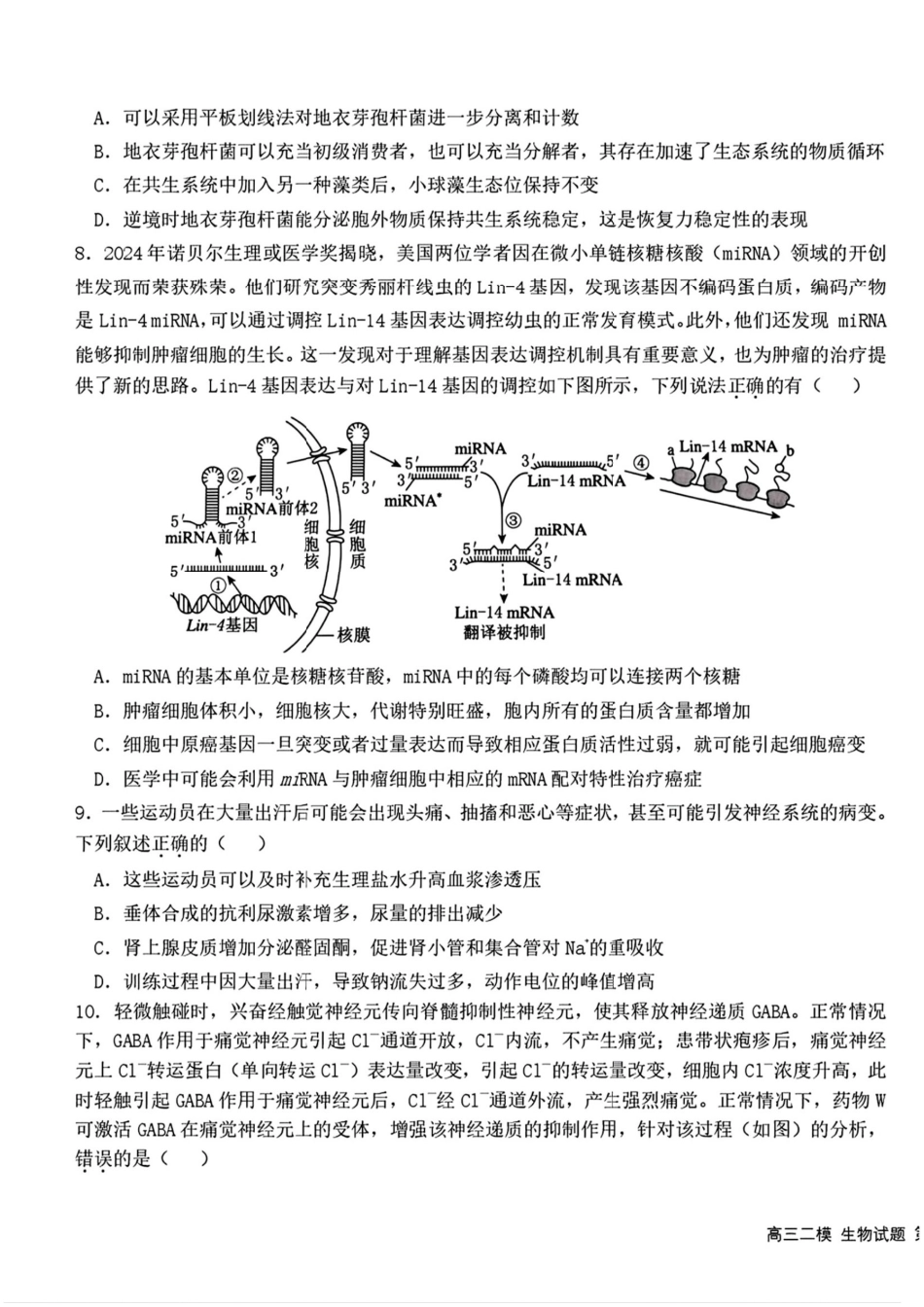 2025黑龙江哈尔滨六中高三第二次模拟考试 生物含答案.pdf_第3页