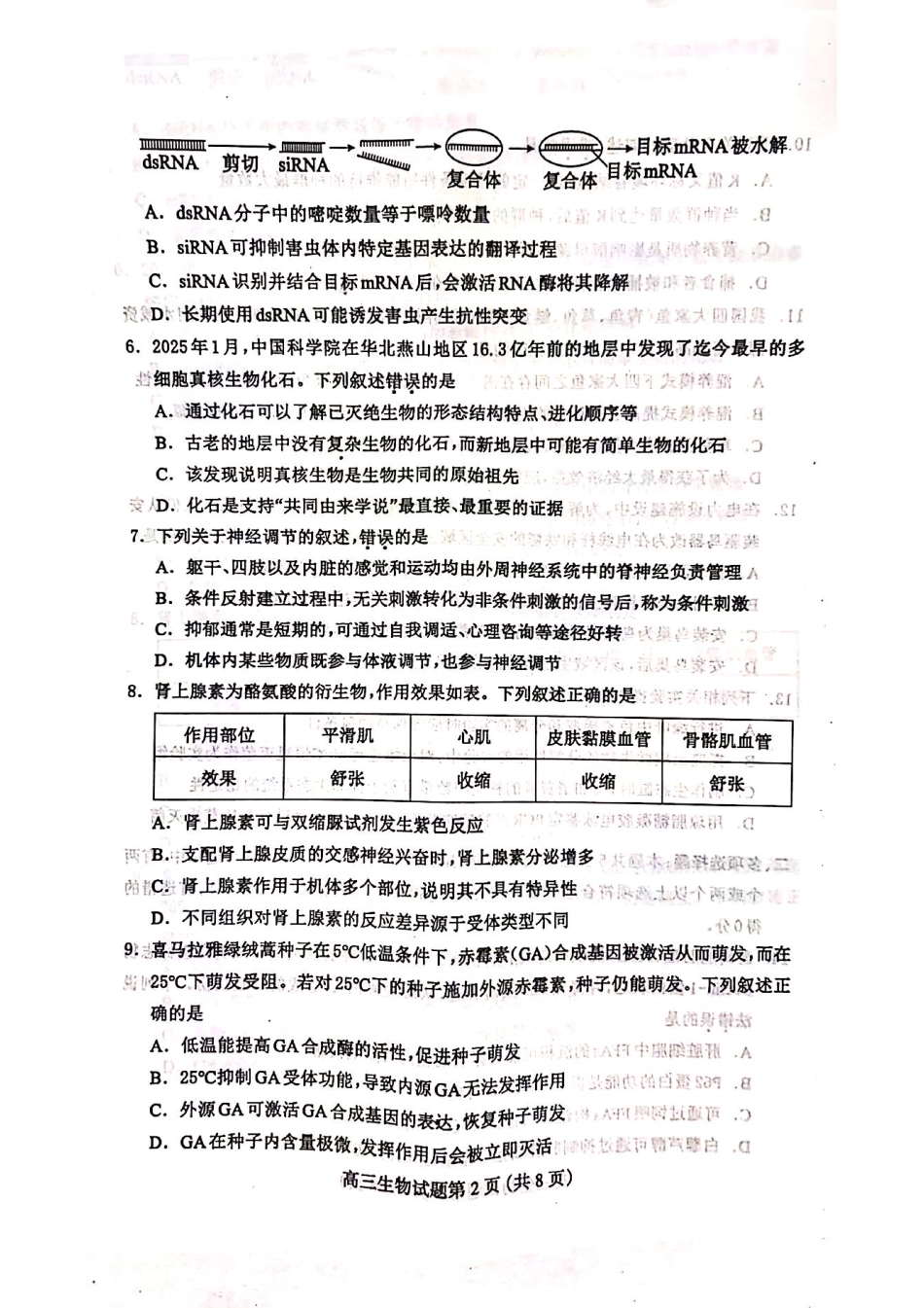 2025届河北省保定市高三下学期第一次模拟考试生物试题.pdf_第2页