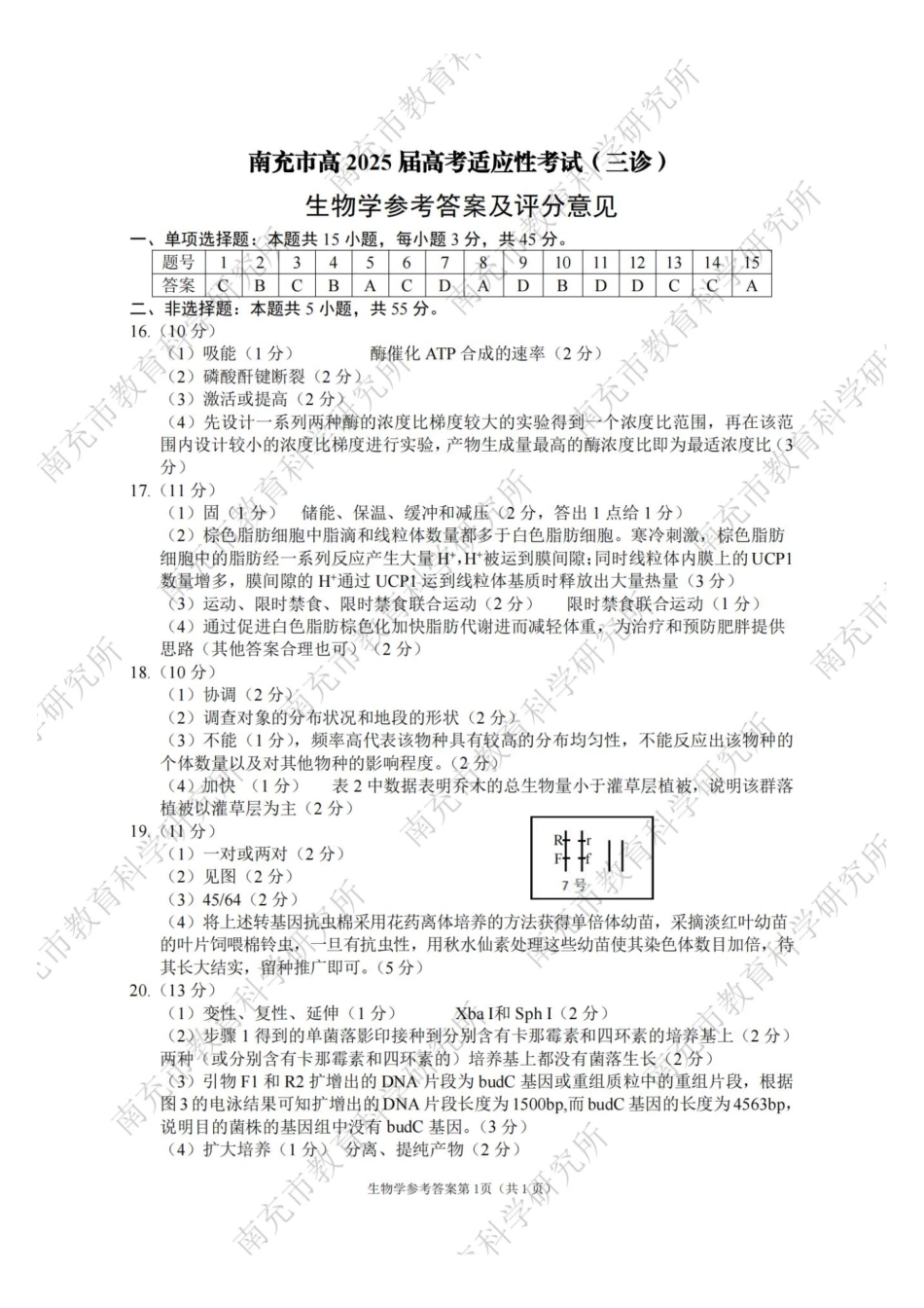 四川省南充市高2025届高考适应性考试（三诊）生物答案.pdf_第1页