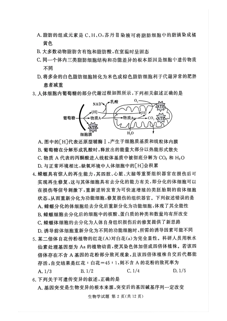 湘豫名校联考2024-2025学年高三春季学期第二次模拟考试生物试题.pdf_第2页