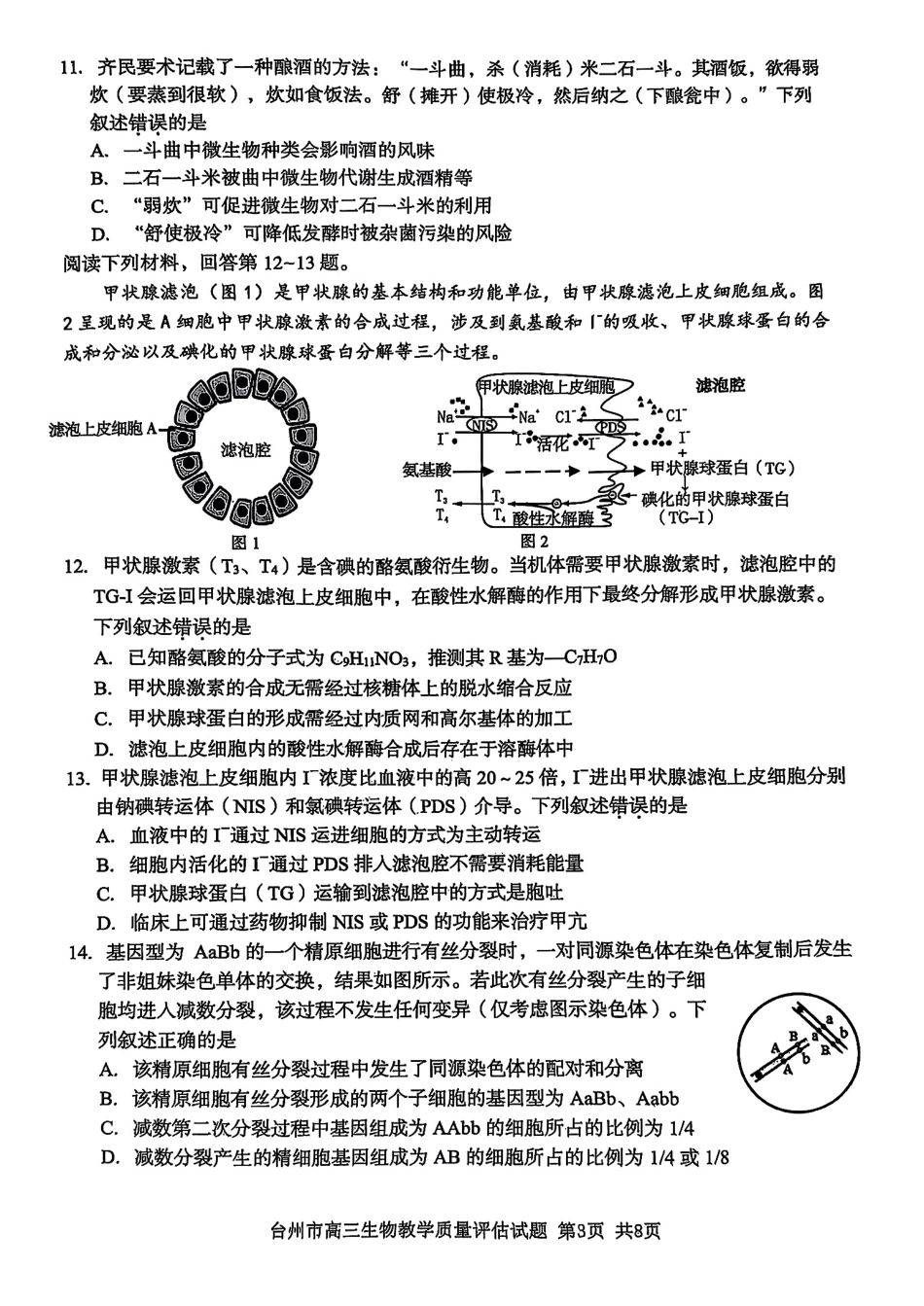 浙江省台州市2025届高三下学期4月二模试题 生物试卷+答案.pdf_第3页