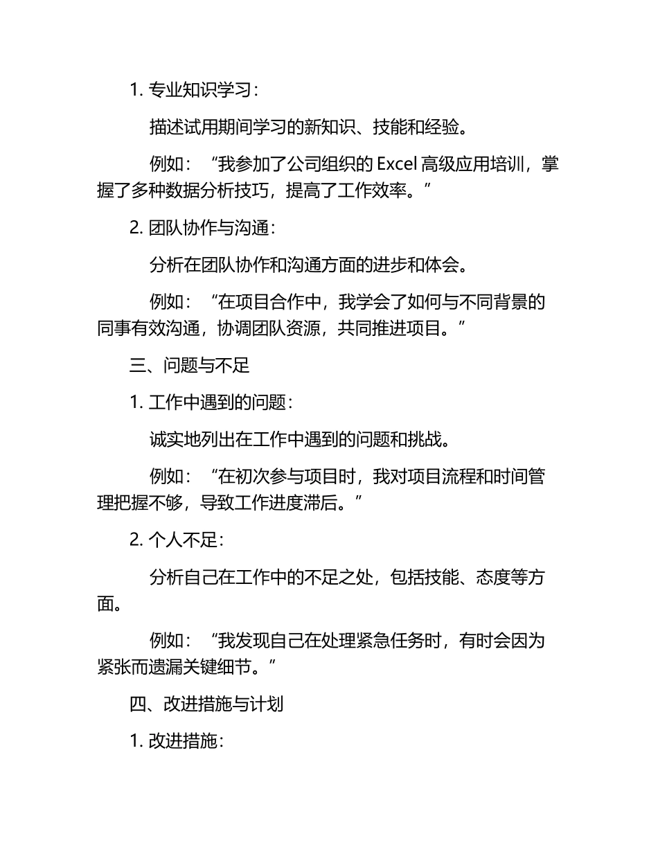 试用期工作总结格式.docx_第2页