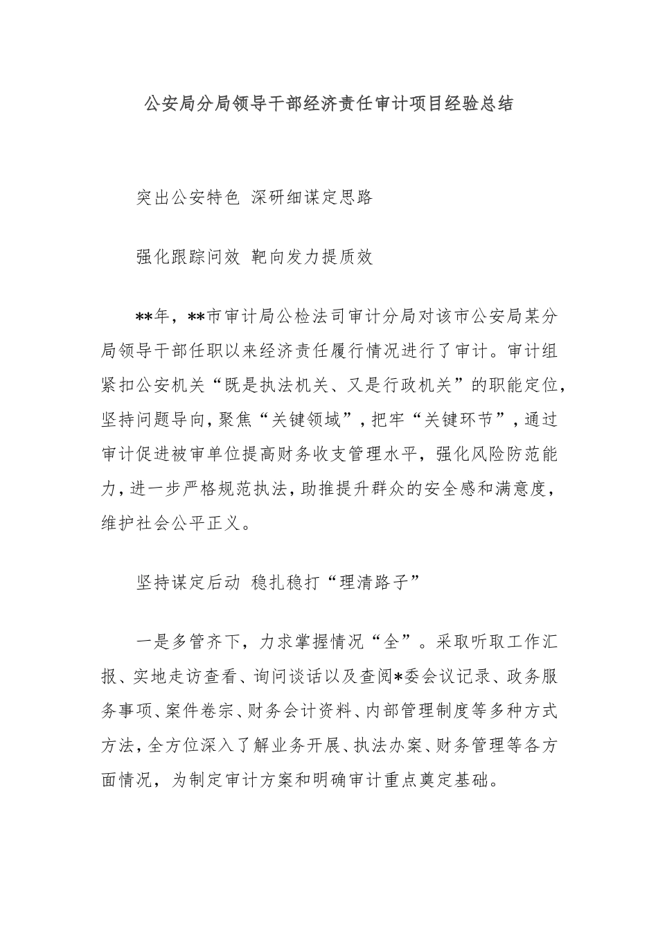 （最新精品范文）公安局分局领导干部经济责任审计项目经验总结.doc_第1页